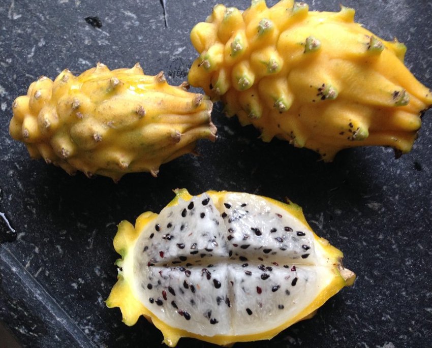 Yellow Dragon Fruit Seeds