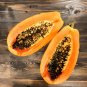 Papaya Fruit Organic Carica papaya - 25 Seeds