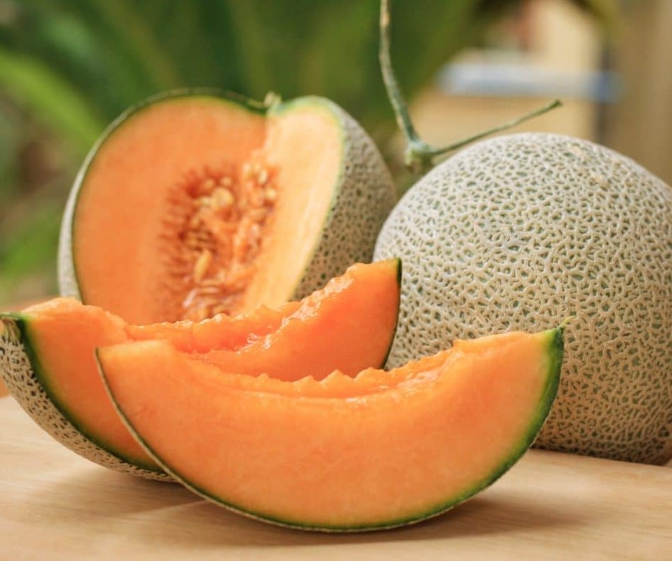 Hales Best Jumbo Heirloom Cantaloupe Cucumis melo cantalupensis 30 Seeds
