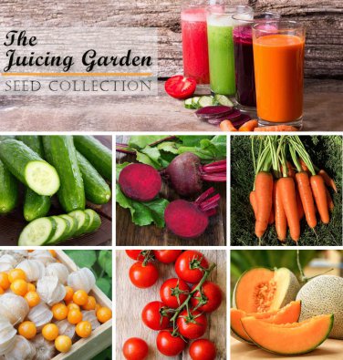 Heirloom Juicing Garden Organic Seed Collection - 6 Varieties