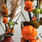 Pumpkin On A Stick Pumpkin Tree Solanum integrifolium - 20 Seeds