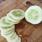 Croatia Heirloom Dragon's Egg Cucumber Cucumis sativis - 10 Seeds