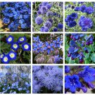 Blue Splash Monochromatic Blue Flower Seed Collection - 9 Varieties