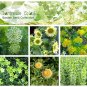 Chartreuse Splash Green Flower Seed Collection - 6 Varieties