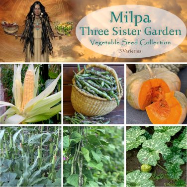 Milpa Three Sister Garden Heirloom Seed Collection - 3 Varieties