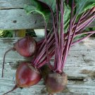 Organic Heirloom Beet Detroit Dark Red Beta vulgaris - 150 Seeds