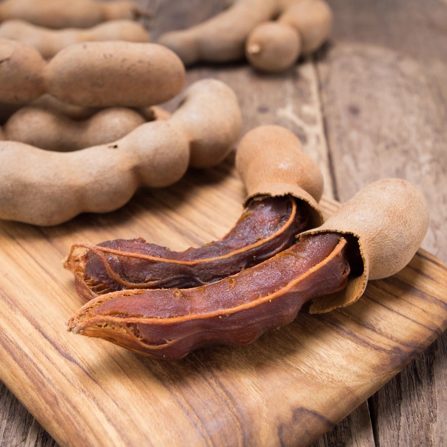 Indian Date Tamarind Tamarindus indica - 8 Seeds