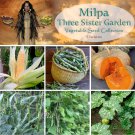 Milpa 3 Sister Garden Heirloom Seed Collection - 3 Varieties
