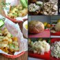 Jicama Yam Bean Organic Pachyrhizus Erosus - 30 Seeds