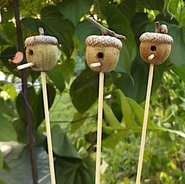 Real and Natural Acorn Nut Birdhouses for Houseplants or Fairy Gardens - Set of 3