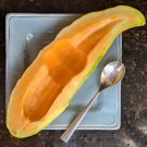 Unique Heirloom Sweet Banana Melon Cucumis Melo - 25 Seeds