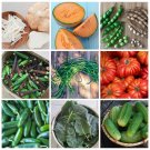 Southern Vegetables Hot Climate Garden Seed Collection - 9 Varieties
