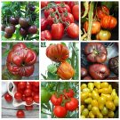 Unique Organic Heirloom Tomato Seed Collection - 9 Varieties