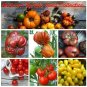 Colorful Organic Heirloom Tomato Seed Collection - 6 Varieties