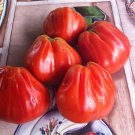 French  Heirloom Tomato Coeur di Bue Albenga Solanum Lycopersicum - 25 Seeds