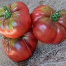 Heirloom Tomato Cherokee Purple Organic Lycopersicon lycopersium - 30 Seeds