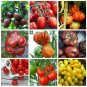 Unique Heirloom Organic Tomato Seed Collection - 9 Varieties