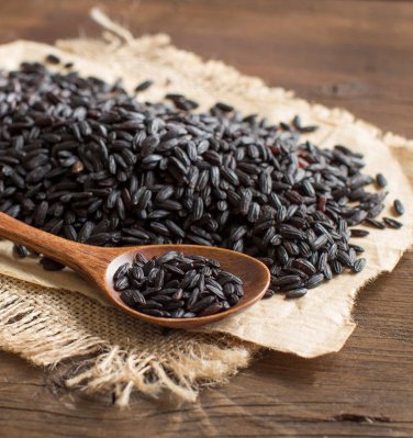 Organic Heirloom Forbidden Black Rice Plant Oryza sativa - 150 Seeds