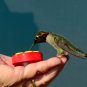 Personal Garden Hummingbird Hand Feeder with Flower Seeds