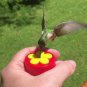Personal Handheld Nectar Feeder for Hummingbirds with Flower Seeds