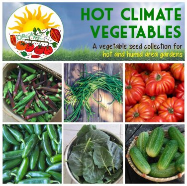 Heat Loving Southern Vegetables Garden Seed Collection - 6 Varieties