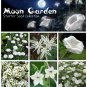 Moon Garden White Flower Seed Starter Collection 6 Varieties