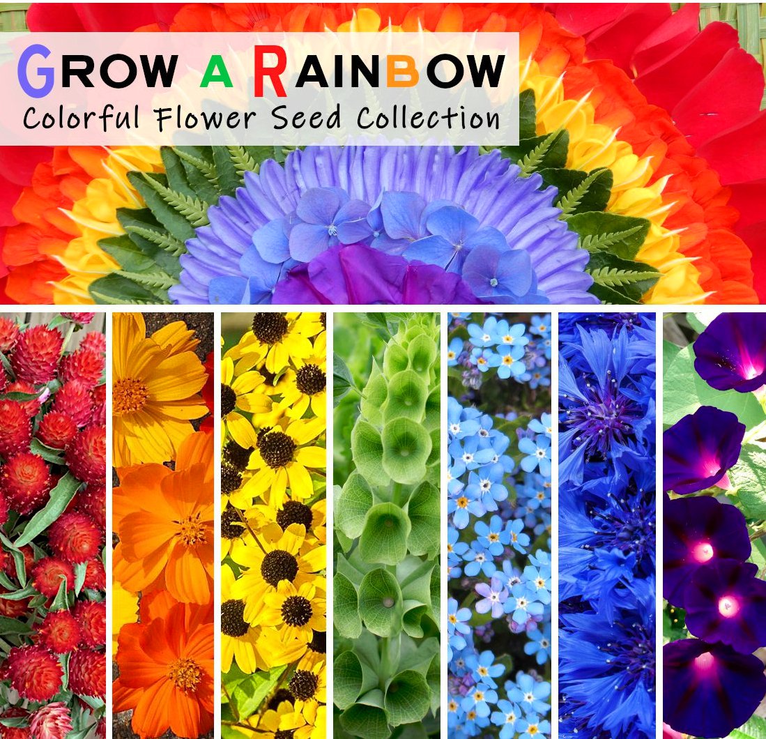 Grow a Rainbow Garden Flower Seed Gift Collection 7 Varieties