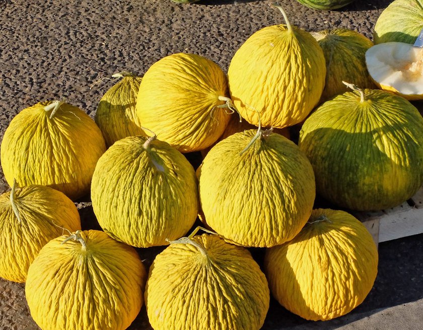 Melon Casaba Golden Beauty Cucumis melo - 25 Seeds