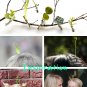 Plant Hair Clip Handmade Artificial Fern Succulent Sprout - Set of 3