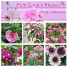 Romantic Pink Shades Flower Seed Collection - 6 Varieties