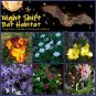 Night Shift Bat Habitat Flower Seed Collection - 6 Varieties