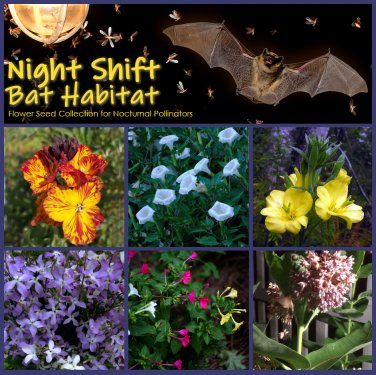Bat Habitat Night Shift Flower Seed Collection - 6 Varieties