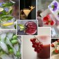 Colorful Organic Appetizer and Cocktail Garden Seed Collection - 6 Varieties