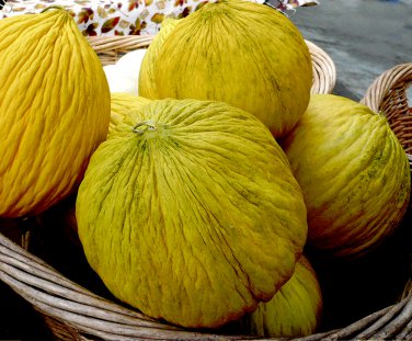 Casaba Melon Sweet Juicy Cucumis melo - 25 Seeds