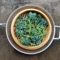 Rare Piracicaba Brazilian Broccoli Organic Brassica oleracea - 50 Seeds