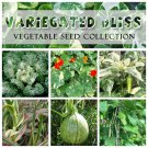 Variegated Bliss Garden Vegetable Seed Collection - 6 Varieties