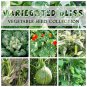 Variegated Vegetable Bliss Garden Seed Collection - 6 Varieties