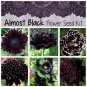 Naturally Dark Almost Black Flower Seed Collection - 6 Varieties