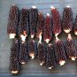 Sale! Organic Heirloom Popping Corn Dakota Black Zea mays 2 for 1 - 40 Seeds