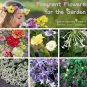 Sweet Scent Fragrant Garden Flower Seed Collection - 6 Varieties