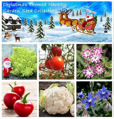 Christmas Gift Garden Vegetable and Flower Seed Collection - 6 Varieties