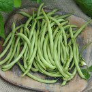 Sale! Heirloom Early Contender Green Bush Bean Phaseolus vulgaris 2 for 1 - 80 Seeds
