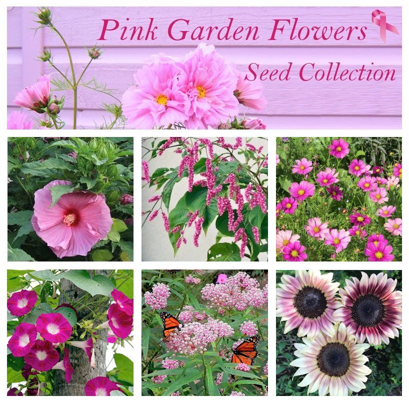 garden-flowers-pink-shades-flower-seed-collection-6-varieties