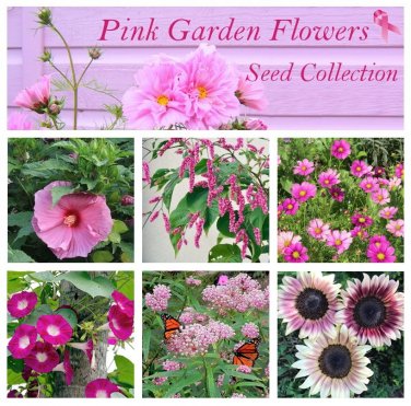 Garden Flowers Pink Shades Flower Seed Collection - 6 Varieties