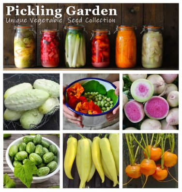 Organic  Pickling Garden Vegetable Seed Collection - 6 Varieties