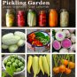 Organic  Pickling Garden Vegetable Seed Collection - 6 Varieties