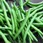 Organic Kentucky Blue Green Snap Beans Pole Phaseolus vulgaris - 80 Seeds