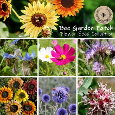 Bee Friendly Flower Garden Seed Gift Collection