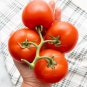 Cute Tomato Pun Heirloom Seed Favor Mini Love Gift - 3 Packs