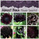Naturally Dark Almost Black Flower Seed Collection - 6 Varieties
